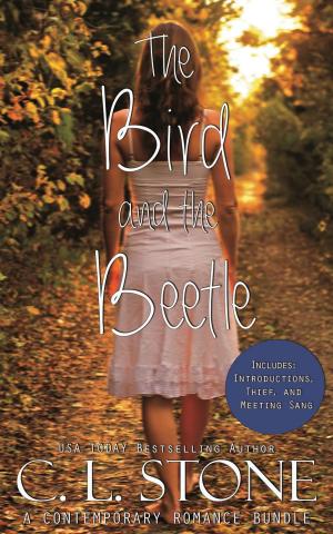 Book cover of The Academy - The Bird and the Beetle