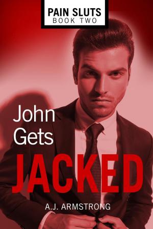 Cover of the book John Gets Jacked by Renee Roszel