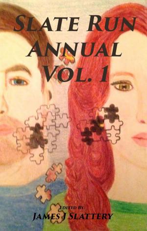 Cover of Slate Run Annual Vol. 1