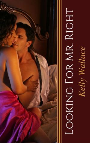 Cover of the book Looking For Mr. Right by Kelly Wallace