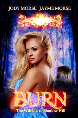 Cover of the book Burn by SM Johnson