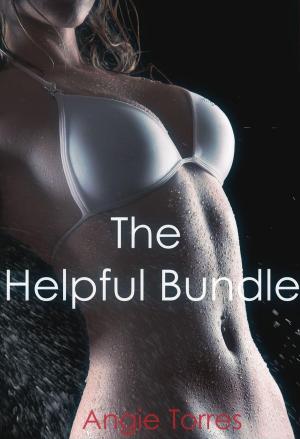 Cover of the book The Helpful Bundle by Luana