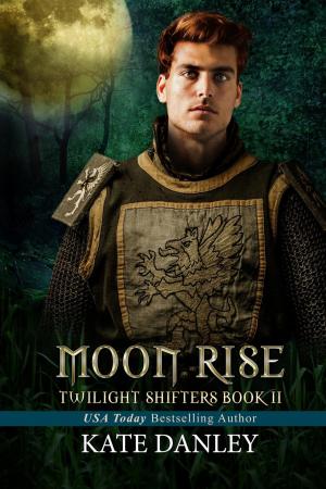 Cover of the book Moon Rise by Salvatore Di Sante