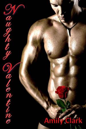 Cover of the book Naughty Valentine; BDSM with the Boss by Andromeda Bliss