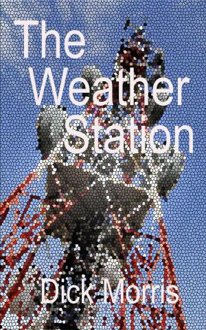 Cover of the book The Weather Station by David Kesting