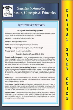 Cover of the book Accounting Basics, Concepts & Principles (Blokehead Easy Study Guide) by Delia Dobbs