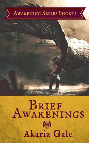 Book cover of Brief Awakenings