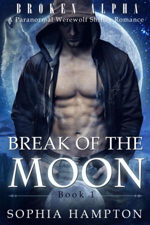 Cover of the book Break of the Moon by Paula Cox