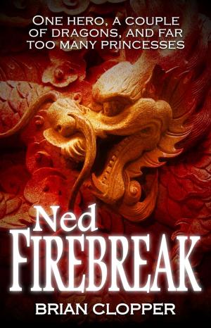 Cover of the book Ned Firebreak by Drew Sinclair