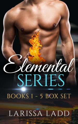 Cover of the book An Elemental Series Box Set: Books 1-5 by Nancy Gideon