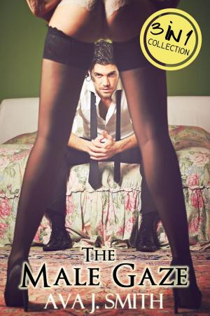 Cover of the book The Male Gaze: 3 in 1 Collection by Allyson James, Jennifer Ashley