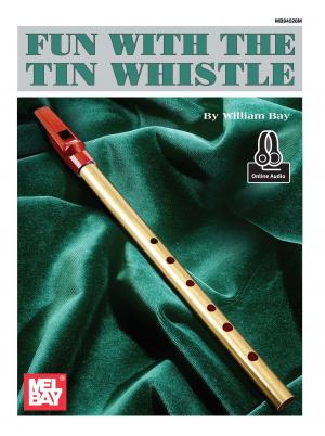 Cover of the book Fun With The Tin Whistle by Art Rosenbaum