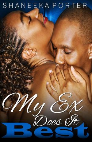 Cover of the book My Ex Does It Best by Terry Lynn