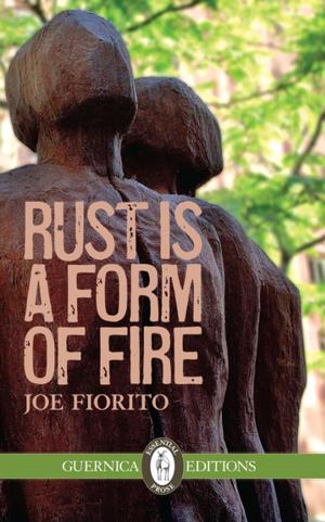 Book cover of Rust Is a Form of Fire