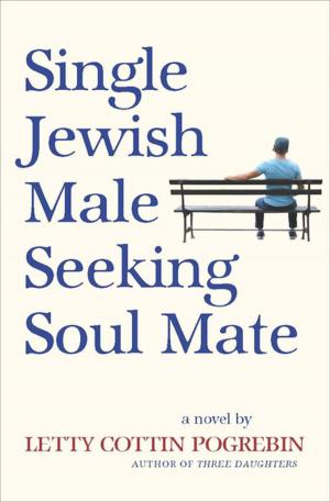 Cover of the book Single Jewish Male Seeking Soul Mate by Jennifer Rosner