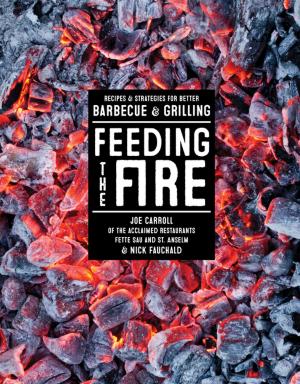Cover of the book Feeding the Fire by Edward Lee