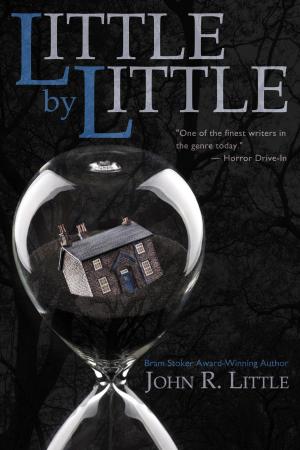 Cover of the book Little by Little by Glen Hirshberg