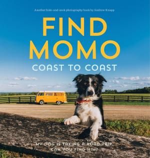 Cover of the book Find Momo Coast to Coast by Andrew Shaffer