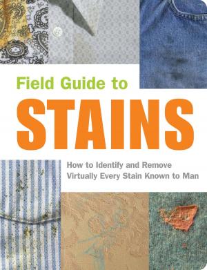 Cover of the book Field Guide to Stains by Michelle Gish