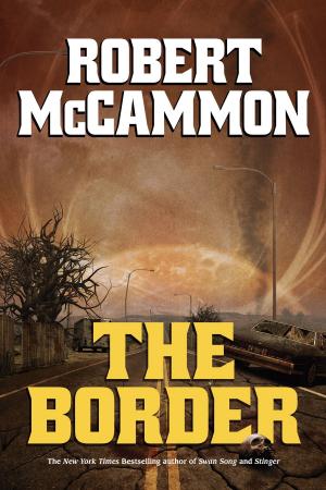 Book cover of The Border