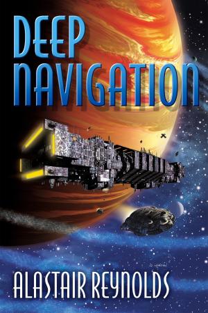 Cover of the book Deep Navigation by Joe Haldeman