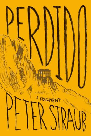 Book cover of Perdido: A Fragment from a Work in Progress