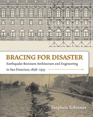 Cover of the book Bracing for Disaster by J.K. Dineen