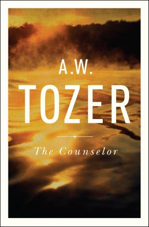 Book cover of The Counselor