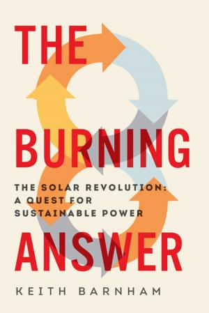 Cover of the book The Burning Answer: The Solar Revolution: A Quest for Sustainable Power by Matt Fitzgerald