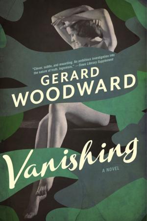 Book cover of Vanishing: A Novel