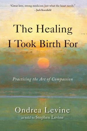 Cover of the book The Healing I Took Birth For by Boyle, David