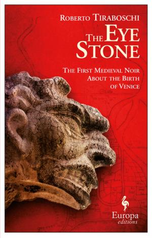 Cover of the book The Eye Stone by Thad Ziolkowski