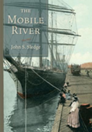 Cover of the book The Mobile River by John Cusatis, Matthew J. Bruccoli