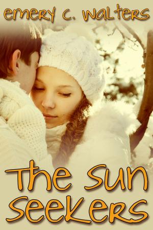 Cover of the book The Sun Seekers by Erica Yang
