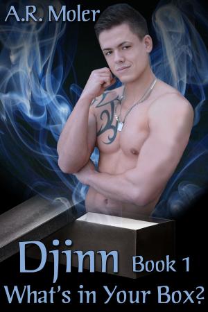Cover of the book Djinn Book 1: What's in Your Box? by R.W. Clinger