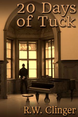 Cover of the book 20 Days of Tuck by Shawn Lane