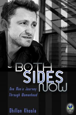 Cover of the book Both Sides Now by Sol Stein