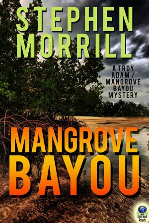 Cover of the book Mangrove Bayou by Chris Grabenstein