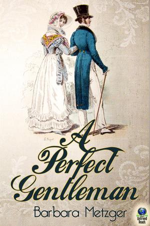Cover of the book A Perfect Gentleman by Jannah Firdaus Mediapro