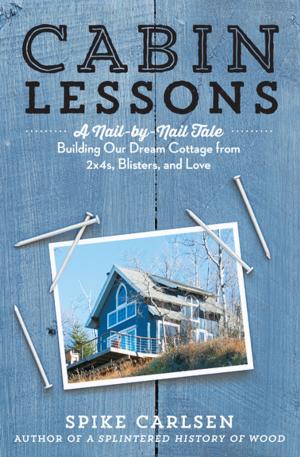 Cover of the book Cabin Lessons by Jeff Krasno, Maria Zizka, Grace Edquist