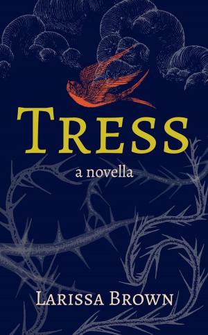 Book cover of Tress