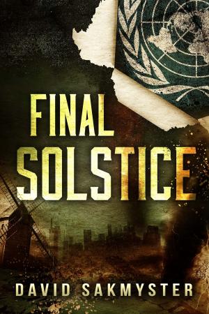 Cover of the book Final Solstice by Steve Rzasa