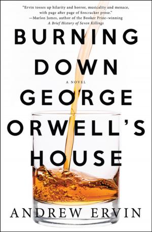 Cover of the book Burning Down George Orwell's House by Pete Hautman