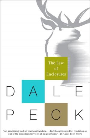 Cover of the book The Law of Enclosures by Dale Peck
