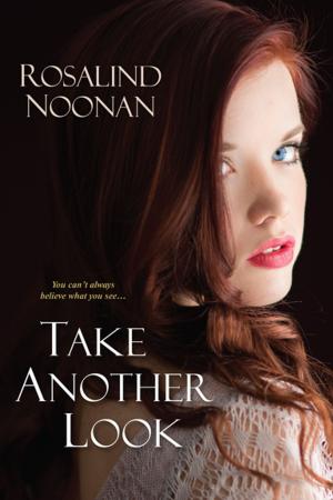 Cover of the book Take Another Look by Laurien Berenson