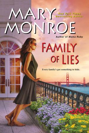 Cover of the book Family of Lies by Noelle Mack