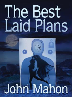 Cover of the book The Best Laid Plans by Jerold Ross