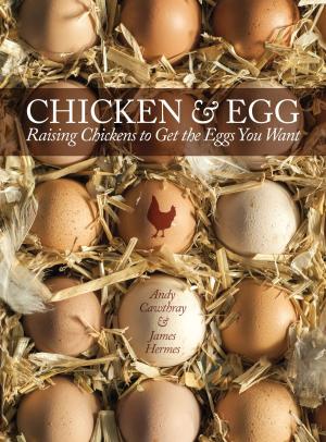 bigCover of the book Chicken and Egg by 