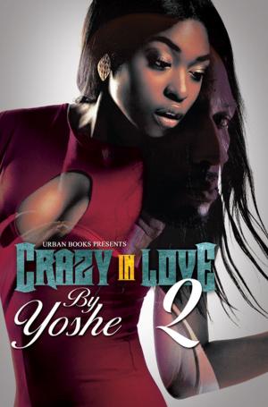 Cover of the book Crazy in Love 2 by K.F. Johnson