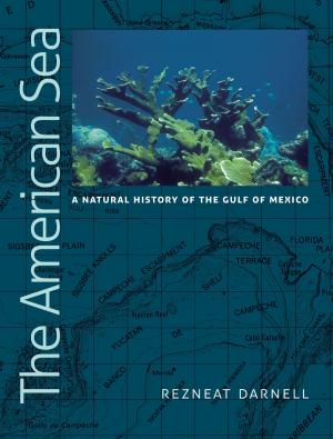 Cover of the book The American Sea by Matthew Minson